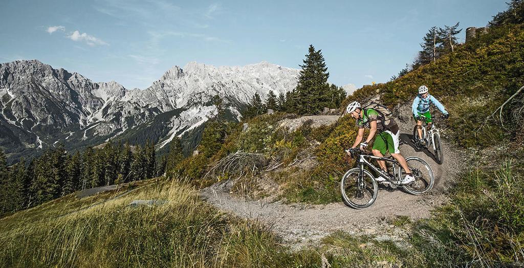Pension Appartements Alpenblick Maria Alm am Steinernen Meer Bagian luar foto