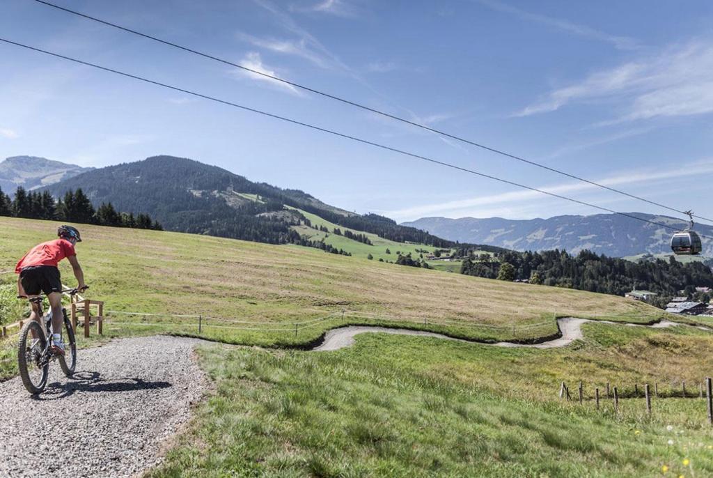 Pension Appartements Alpenblick Maria Alm am Steinernen Meer Bagian luar foto